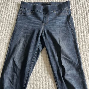 Liverpool Los Angeles Ankle Skinny Jean
